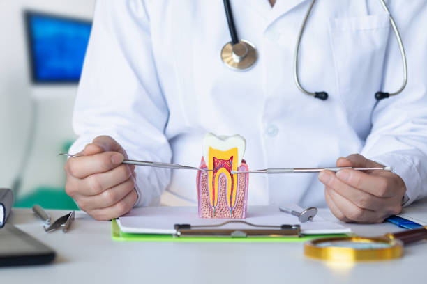 Best Pediatric Emergency Dentist in Lake Waccamaw, NC